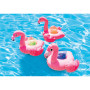 Держак для пляшки Intex Flamigo Drink Holders 57500NP