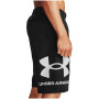 Чоловічі шорти Under Armour Rival FLC Big Logo Shorts
