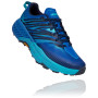 Чоловічі кросівки Hoka Speedgoat 4