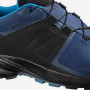 Чоловічі черевики Salomon Xa Wild GTX