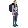 Дорожня сумка Osprey Fairview 55