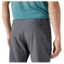 Чоловічі штани Patagonia M's Terravia Trail Pants