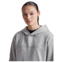 Жіноча кофта Icebreaker W Mer 360 RealFleece Elemental LS Hood
