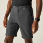 Чоловічі штани Regatta Anti-Insect Travel Light Z/O Trousers