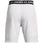 Чоловічі шорти Under Armour Vanish Woven Shorts