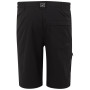 Чоловічі шорти Regatta Highton Shorts Long II
