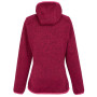 Жіноча толстовка Regatta Wms Hood Newhill