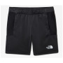 Чоловічі шорти The North Face Ma Fleece Short