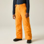 Дитячі лижні штани Dare 2b Outmove III Insulated Pant ElectricOrng