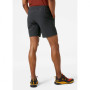 Чоловічі шорти Helly Hansen Friluft Shorts