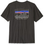 Чоловіча футболка Patagonia M's '73 Skyline T-Shirt