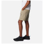 Чоловічі шорти Columbia Silver Ridge™ Utility Cargo Short