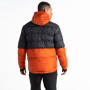 Чоловіча куртка Dare 2b Ollie Jacket