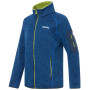 Дитяча толстовка Regatta Junior Newhill Aviator Blue Golden Cypress