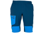 Шорти