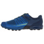 Чоловічі черевики Inov-8 ROCLITE 275 M