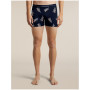 Чоловічі функціональні боксерки Icebreaker Men M 150 Anatomica Boxers BearTourAOP