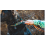 Нашийник для собаки Ruffwear Front Range™ Collar