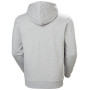 Чоловіча толстовка Helly Hansen Core Graphic Hoodie