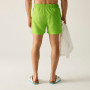 Плавки Regatta Mawson Swim Shorts III