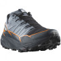 Чоловічі кросівки Salomon Thundercross Gore-Tex сірий