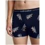 Чоловічі функціональні боксерки Icebreaker Men M 150 Anatomica Boxers BearTourAOP