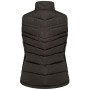 Жіноча жилетка Dare 2b Burnish II Gilet