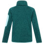 Дитяча толстовка Regatta Junior Newhill DrkForGlacGr