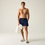 Плавки Regatta Mawson Swim Shorts III