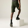 Чоловічі шорти Regatta Highton Shorts Long II