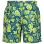 Чоловічі шорти Regatta Loras Swim Short m