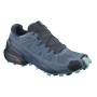 Жіночі черевики Salomon Speedcross 5 GTX W