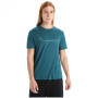 Чоловіча функціональна футболка Icebreaker Men Tech Lite II SS Tee Cadence Paths