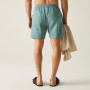 Чоловічі шорти Regatta Hadlin Shorts
