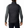 Чоловіча жилетка Columbia Powder Lite™ Vest