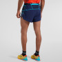 Чоловічі шорти La Sportiva Auster Short M