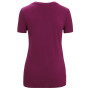 Жіноча функціональна футболка Icebreaker Women Tech Lite II SS Tee Mountain Geology
