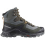 Чоловічі туристичні черевики Salomon Quest Element Gore-Tex