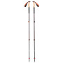 Трекінгові палиці Black Diamond Trail Cork Trekking Poles