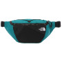 Ledvinka The North Face Lumbnical S zelená/černá FANFARE GREEN/TNF BLACK