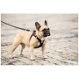 Повідець для собаки Curli Adjustable Leash Nylon