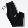 Чоловічі штани The North Face M Nse Pant