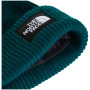 Шапка The North Face Salty Lined Beanie