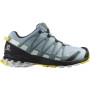 Жіночі черевики Salomon Xa Pro 3D V8 GTX W