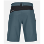 Чоловічі шорти Ortovox Pelmo Shorts M