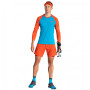 Чоловіча футболка Dynafit Alpine Pro M L/S Tee