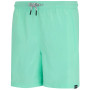Чоловічі шорти Regatta Mackleyna Swim Short