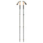 Трекінгові палиці Black Diamond Trail Cork Trekking Poles
