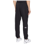 Чоловічі спортивні штани The North Face M Essential Jogger