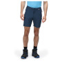Чоловічі шорти Regatta Mountain ShortsII